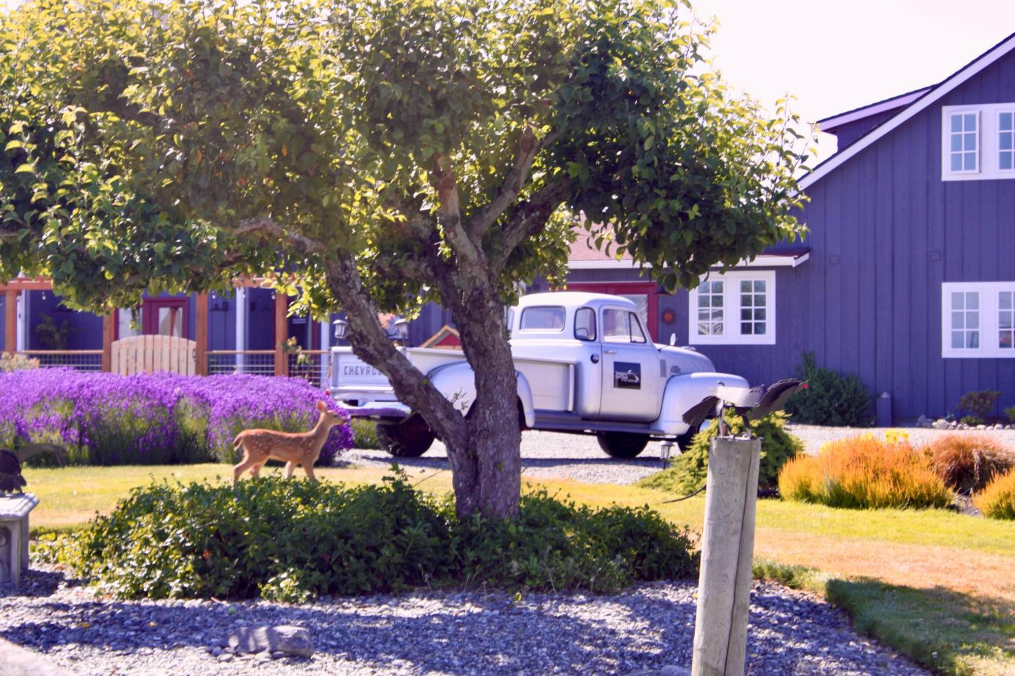 Dungeness Barn House Bed And Breakfast At Two Crows Farm Sequim Exterior photo