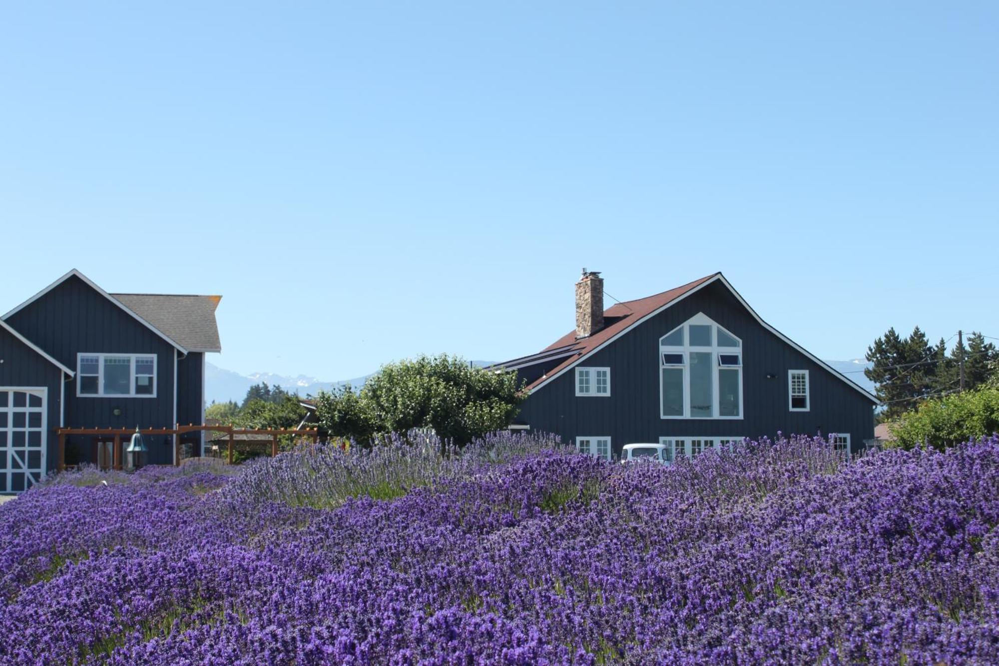 Dungeness Barn House Bed And Breakfast At Two Crows Farm Sequim Exterior photo